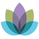 Favicon of Wellnessta