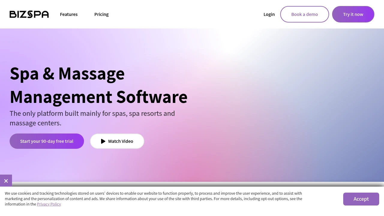 Screenshot of Biz Spa website